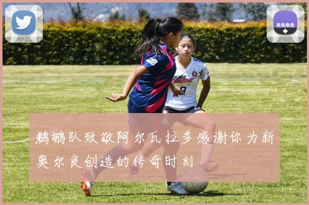 鹈鹕队致敬阿尔瓦拉多感谢你为新奥尔良创造的传奇时刻