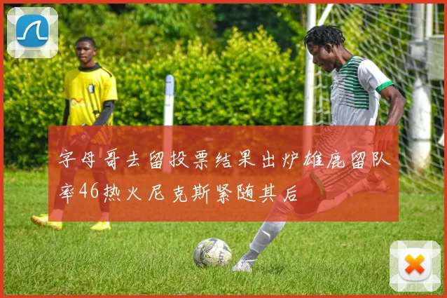字母哥去留投票结果出炉雄鹿留队率46热火尼克斯紧随其后